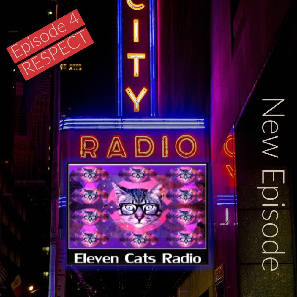 It's #Caturday! Time for a new show. Put your #cat glasses on &amp; feel what it might be like to be your cat. 
🐱elevencatsradio.com/respect-episod…🐱
#CatsOfTwitter #CatsAreFamily #cats #catlover  #elevencatsradio #podcast #PodcastRecommendations