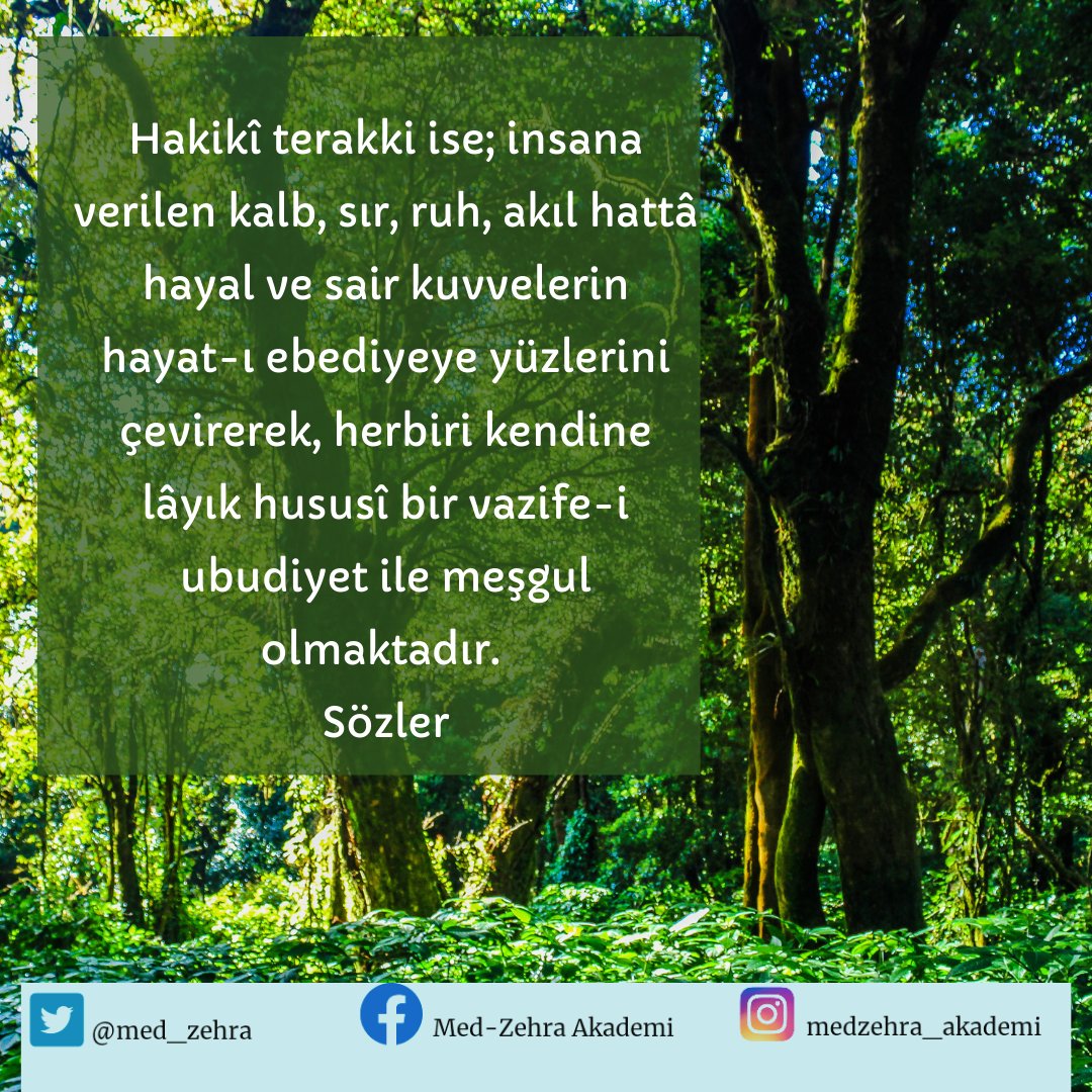 Hakikî terakki ise; insana verilen kalb, sır, ruh, akıl hattâ hayal ve sair kuvvelerin hayat-ı ebediyeye yüzlerini çevirerek, herbiri kendine lâyık hususî bir vazife-i ubudiyet ile meşgul olmaktadır. 
Sözler
