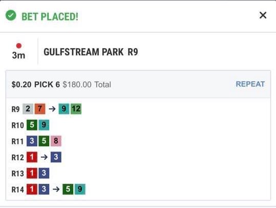 roguewolf007's tweet image. throwback to the 2019 florida derby 
when the 7 busted our beautiful ticket in race 14 

@AntelizJr @DanonymousMan 
#maximumsecurity