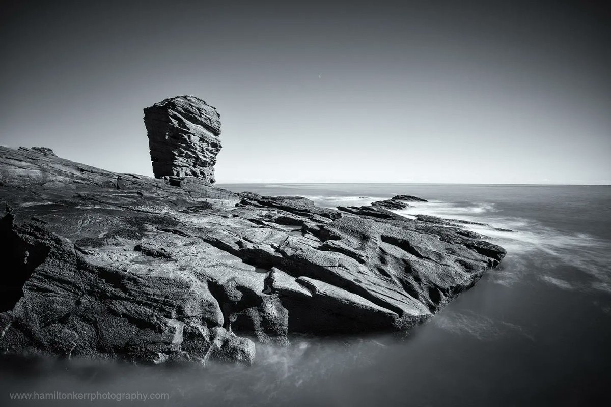 The Deil's Heid, sculpted by the erosive power of the sea. Seaton Cliffs, Arbroath, features many coastal landforms, with faults that have eroded and left large caves. Great to explore by sea and land.  #arbroathcliffs #angus #scottishgeology #cliffface #deilsheid #seatoncliff