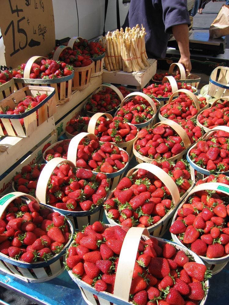 strawberry picking ♡