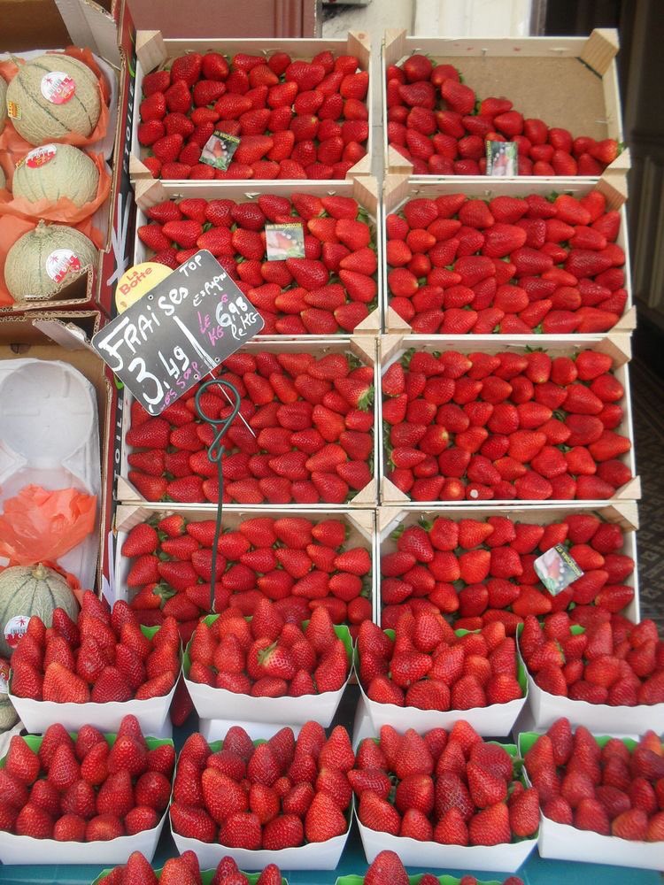 chanelkake's tweet photo. strawberry picking ♡ https://t.co/V2ss2TonDh