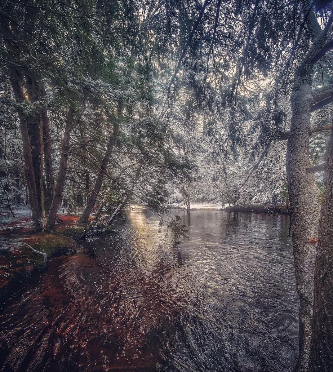 visitmaine's tweet photo. Drawn to the sounds of rushing spring water. Hello, April! ๐ฆ #MaineThing #FirstDayofApril
๐ธ via Instagram: muddymoose_photography https://t.co/WpNO9Yp6Ex