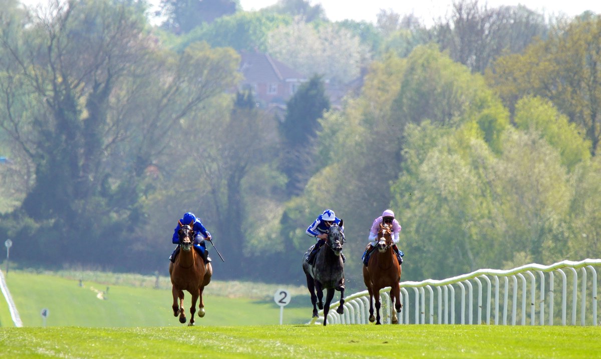 Leicester Racecourse tweet media