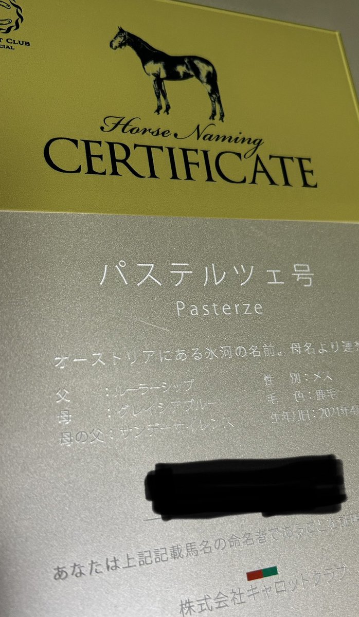 🅖‌🅤‌🅡‌🅘 tweet media