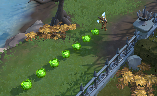 BigBob2007's tweet photo. I'm being chased by cabbages. https://t.co/78cMmLYyfw