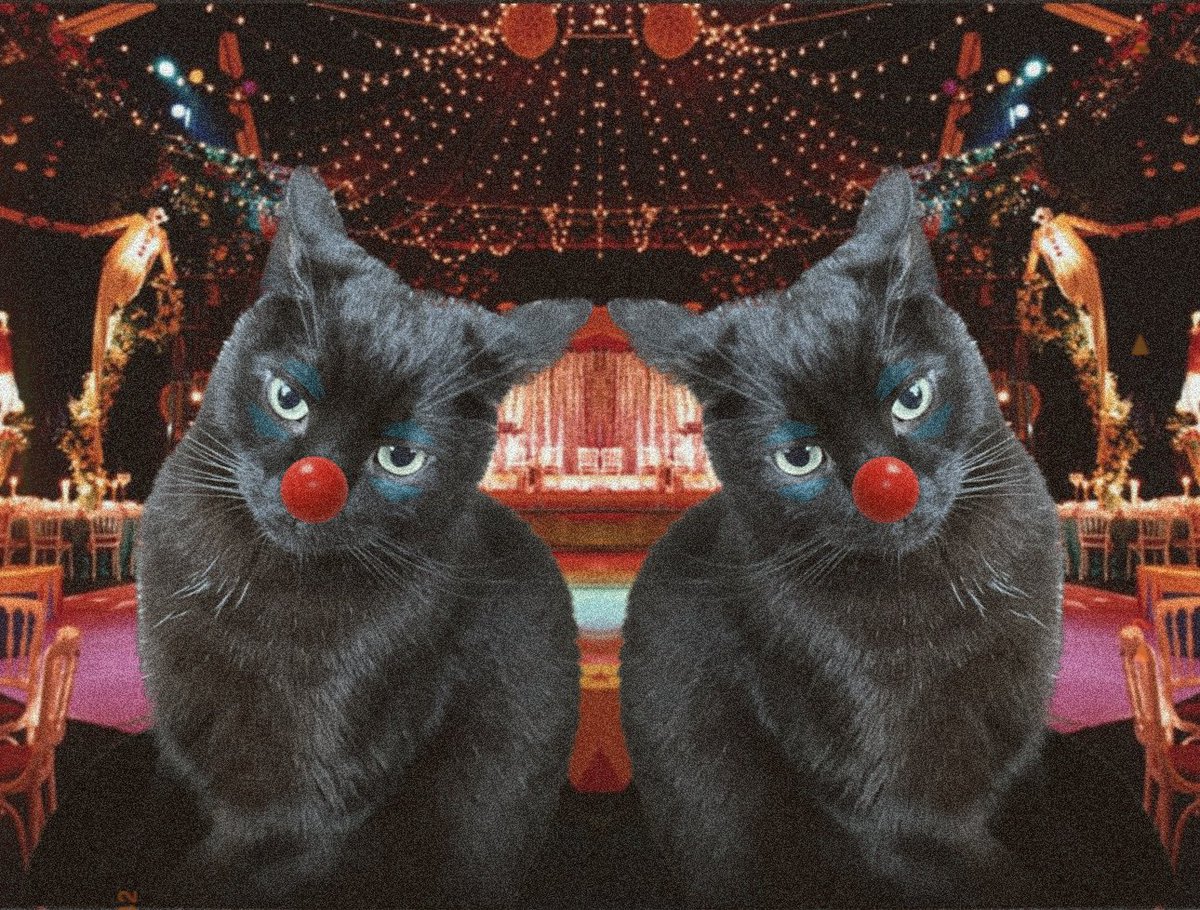 Michway85's tweet image. #FunbotsFunhouse

Even cats joining the FUN.
@FunbotsFunhouse 

#FunbotsFunhouse