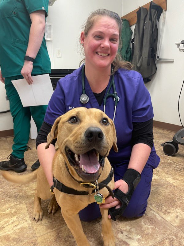 GSnap27's tweet photo. This is Bagel, he saved a life yesterday and he sits very proud #everythingbagelsaveslives https://t.co/M12gBBy1fO