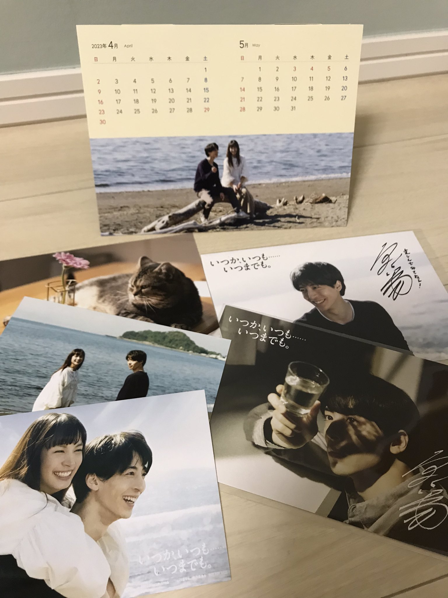 高杉真宙 いつか いつも いつまでも DVD サイン入りポストカード いつか、いつも……いつまでも。』Blu-ray＆DVD 法人共通特典