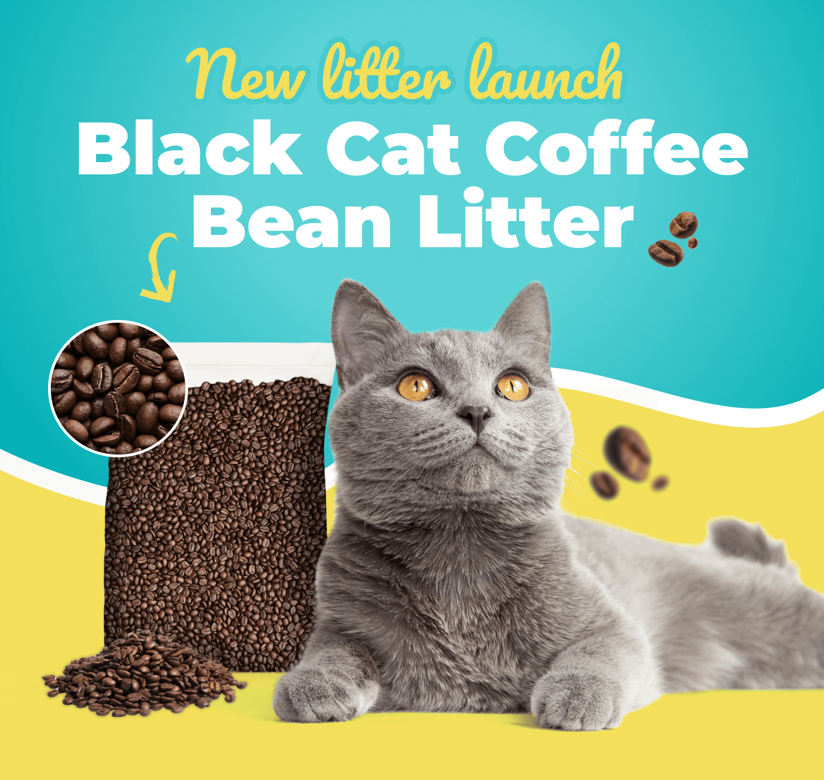 Kitty Poo Club tweet media