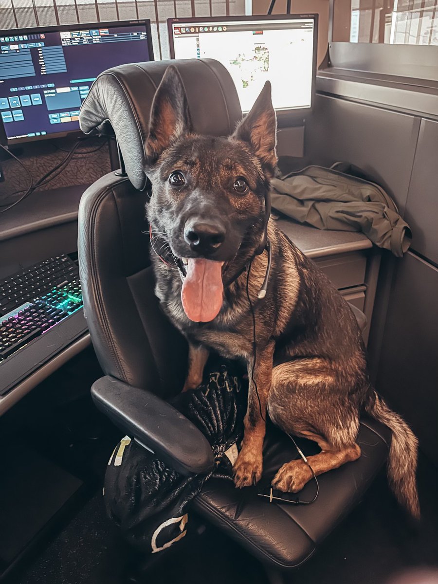LivermorePolice's tweet photo. Meet Livermore Police’s newest public safety dispatcher Drake! He just completed training, headset and all. He’s all ears!
#LivermorePD #AprilFoolsDay #K9Drake https://t.co/u4L9UE6HmB