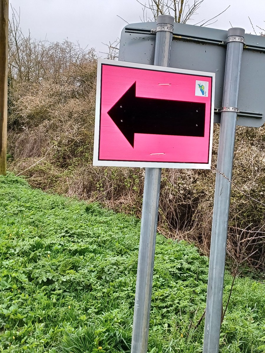 tracehodge17's tweet photo. Trip to town to pick up race pack &amp; the signs are out! Check out the pink arrow up to Gypsy Patch - the last mile &amp; yes it looks flat but its not!!  Its a killer of a hill at the end! Muddy as well! #ukrunchat #DevizesHalf #running #GoTrace #hills 🏃‍♀️☂️😂😂 https://t.co/91GfVHh8tg