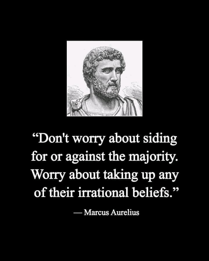 Shelby (@ahmada_shabani) on Twitter photo 