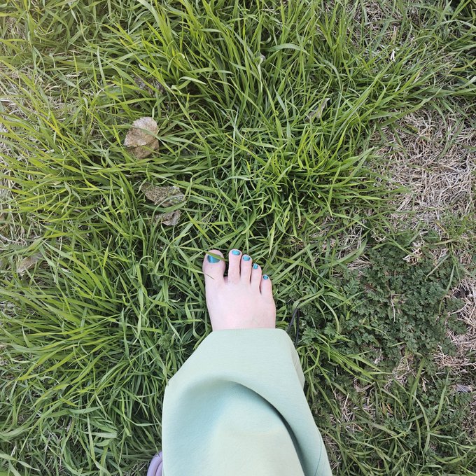 Touching grass! Am I doing it right?

#vtuber https://t.co/9TBAdkasOb