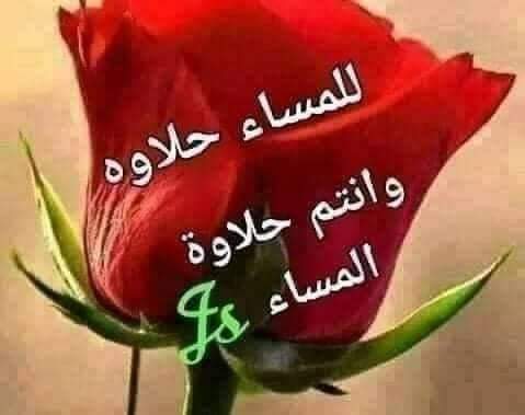 الشريف عيسى ابو منصور tweet media