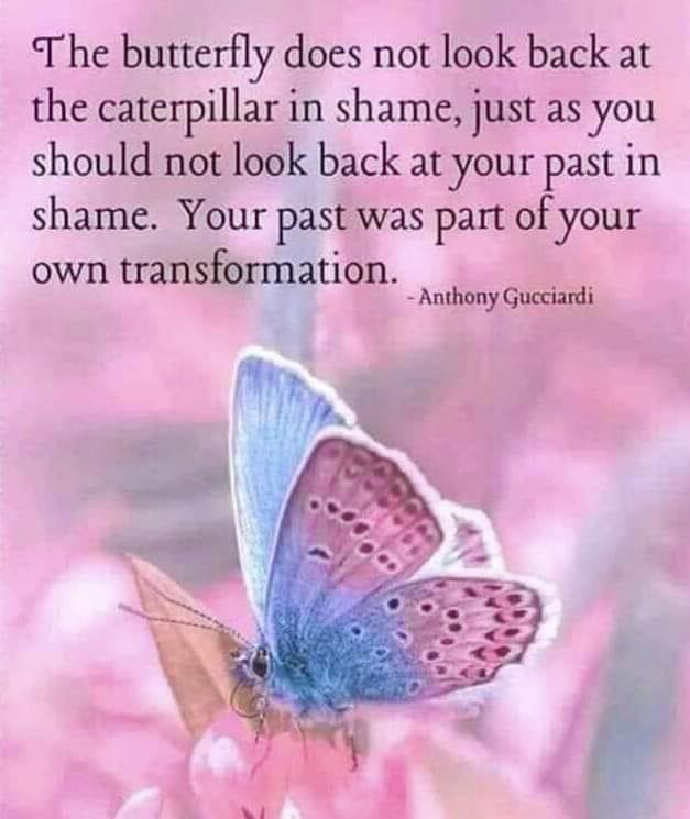 PresenceTrades's tweet photo. "The butterfly does not look back at the caterpillar in shame, just as you should not look back at your past in shame. Your past was part of your own transformation." ~ Anthony Gucciardi

The only thing that matters is Now. https://t.co/tLigMYIk6R