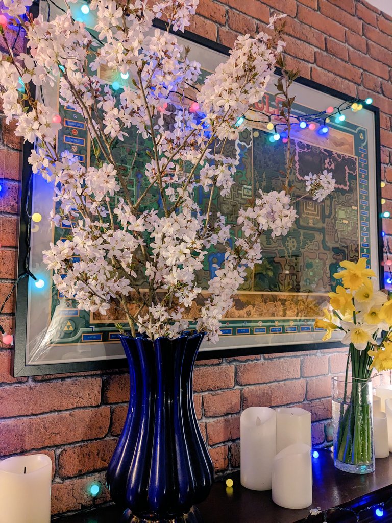 Ashley Nicolson 🌟 tweet media