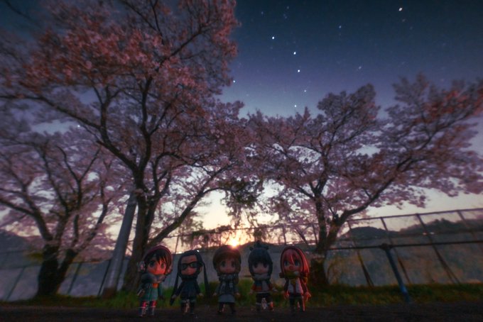 桜がとてもきれいな夜でした🌸⭐️✨🌙#星景写真#ゆるキャン△#校庭キャンプ#桜#お花見#お月見 