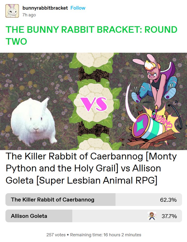 ATTENTION ALL PUNKITT FOLLOWERS I NEED YOUR HELP!! VOTE FOR ALLISON GOLETA OF SLARPG FAME IN THE BUNNY BRACKET!!! SWAG WOMEN SWEEP!!!!
tumblr.com/punkitt-is-her…