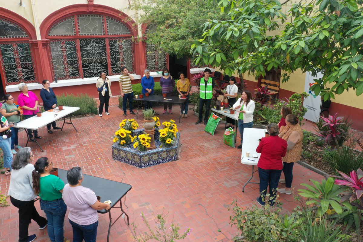 ccivitasmx's tweet photo. Taller de #huertourbano el sexto realizado en Centro Cívitas. Este tipo de actividades permiten crear comunidad, nos da mucho gusto recibirles en el corazón de #Monterrey. #VolvemosAlCentro https://t.co/Y1liRGzgNz