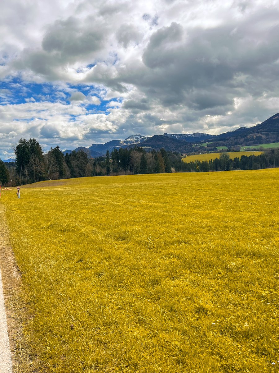 From cycling you can really get addicted nobody told me. Now on day without sport I feel not well #roadbike #cervelo