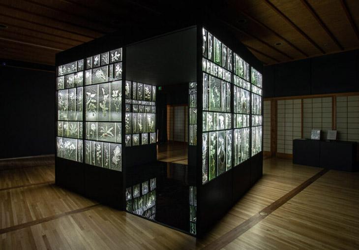 blasarow's tweet image. VAS Group Announcement, week of April 1st
conta.cc/3nwXmGt
Image: Rui Sasaki, “Subtle Intimacy: Here and There”
@portlandjapanesegarden
@regenprojects
@deborahcoltongallery
@visualartsource
#AnishKapoor
#VirgilGrotfeldt
#visualartsource
#VASGroupA
conta.cc/3TZ6boL