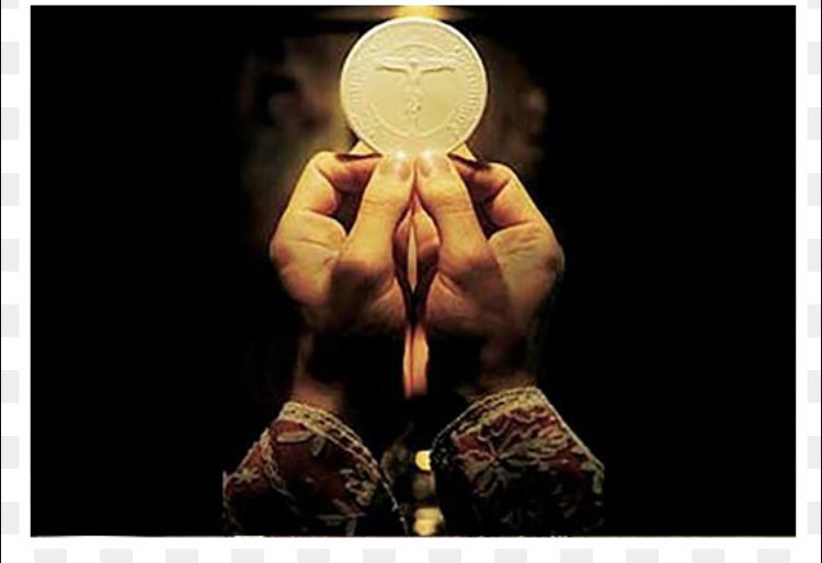 COSJ_SF's tweet photo. “Come to me, all who labor and are heavy laden, and I will give you rest. Take my yoke upon you, and learn from me; for I am gentle and lowly in heart, and you will find rest for your souls. For my yoke is easy, and my burden is light.” https://t.co/UgdXjr3wMQ