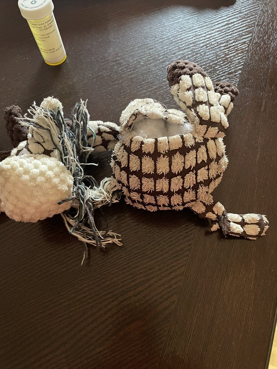 TracyRSmith55's tweet photo. @BetyForLife Unfortunately my dog has it ripped apart in hours. https://t.co/O7wJonaHQQ