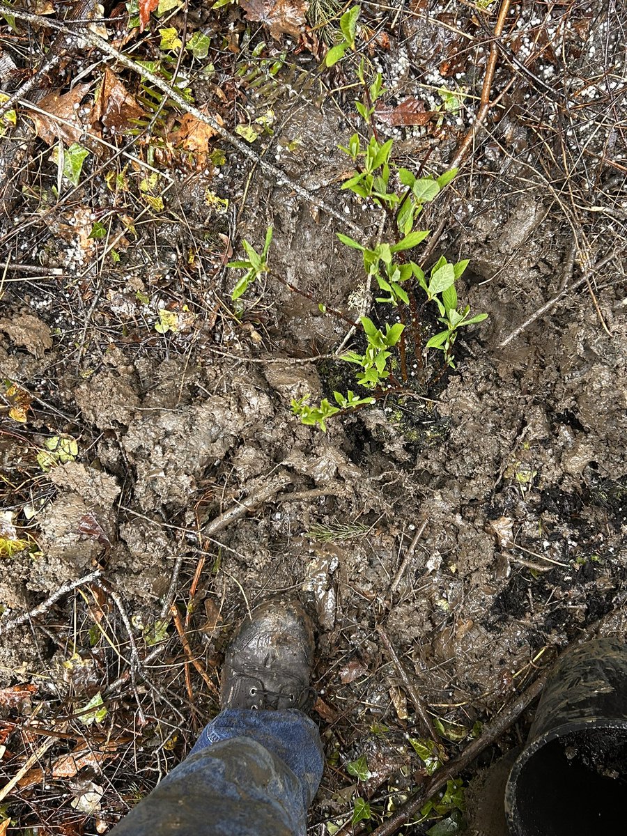 #nature #manuallabor