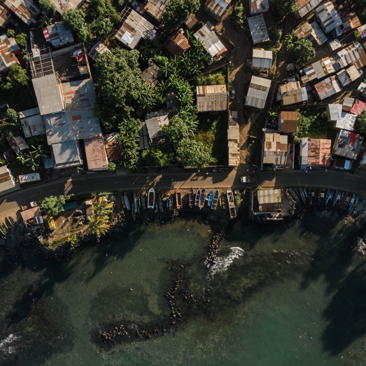 ProjectNgandu's tweet photo. Pantufo and Praia Melão are two communities close to the city of São Tomé with a strong fishing community where @Vasco_Pissarra has been working with fisherpeople to better understand how #sharks are important to santomean families.🦈🌴 

#NGANDUproject 📸VP https://t.co/kgLlctzLYE