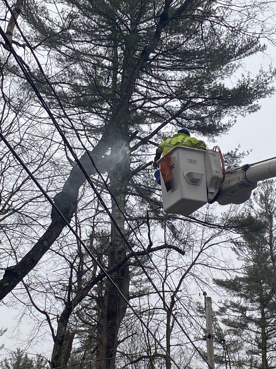 PaxtonFireDept's tweet photo. Tree on fire this morning due to contacting wires. Fire Department personnel kept the scene safe while PMLD employees were able to remedy the situation. #paxton #paxtonlight #treelimbs https://t.co/CzwQe8f2EQ
