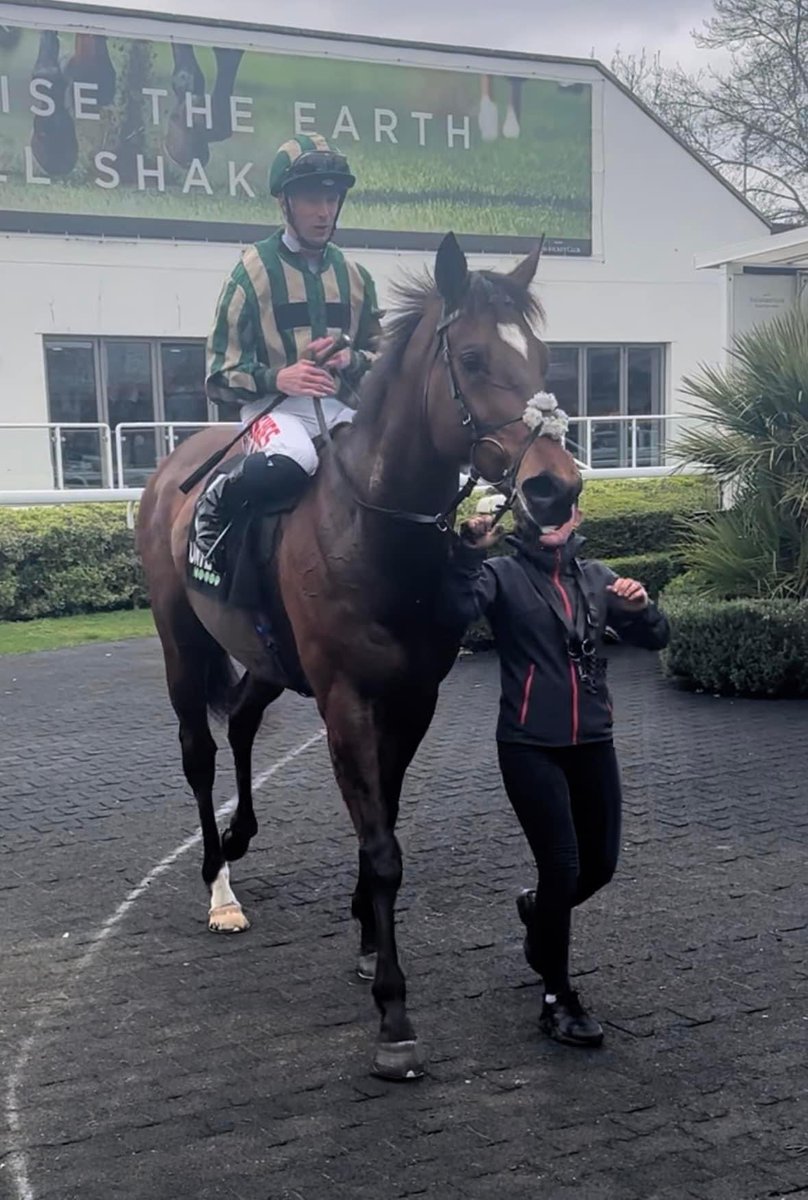 What a fantastic run from Aced It &amp; Jack today in the feature Queens Prize at kempton finishing 4th, really showed his class today against some classy horses and that he deserved to take his chance in this race. He was very unlucky to get done for 3rd by a whiske. He cost £800!!!