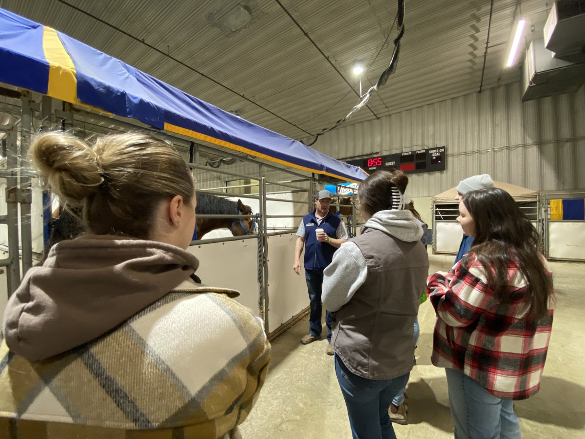 WCVMToday's tweet photo. Some vet students and pre-vet students got to go on a barn tour this morning at the Royal Manitoba Winter Fair.

A big thank you to Dr. Joe King from Virden Animal Hospital for taking us!

#wcvm #vetmed #rmwf #royalmanitobawinterfair #barntour https://t.co/8cf7ibyLAB