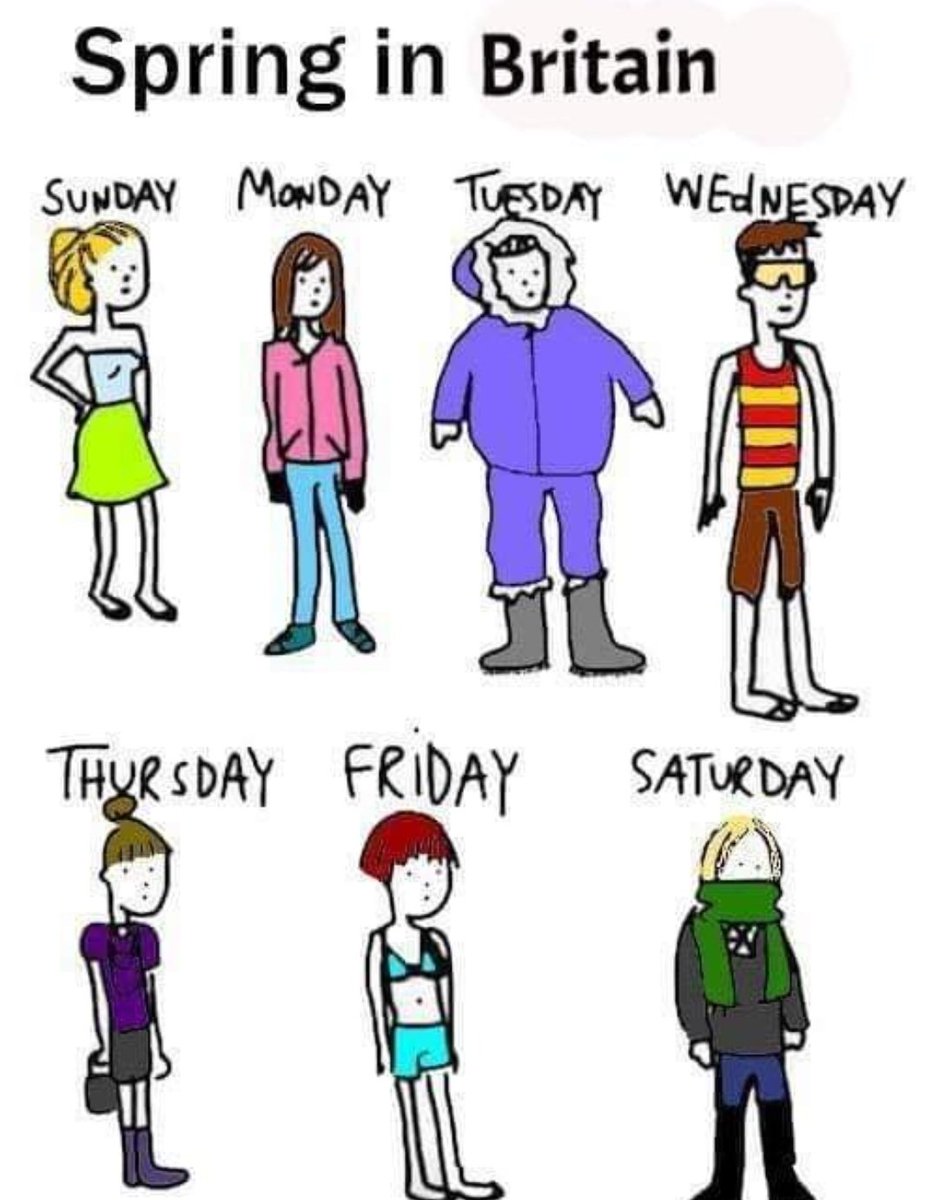 StangSalsa's tweet image. 