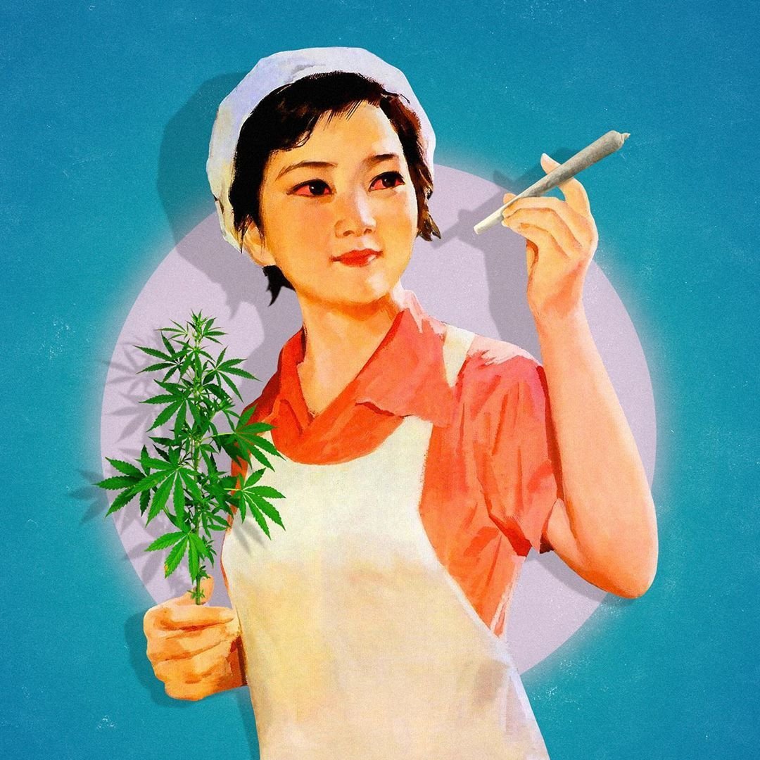 canadian_bloom's tweet photo. Life is better with a joint in hand 🙌🏽🌿 

#cannabiscommunity #weedlife #420community #cannabislife #stoner #420daily #stoned #fueledbythc #hightimes #smokeweedeveryday #puffpuffpass #stonerlife #stonerchick #stonergirl #cannaparent #cannaculture #stonerlife #stonermoms #420mo https://t.co/sngpmCkdTg