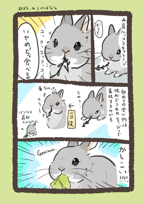 ルッコラがおやつに加わった!

#うさぎのいる生活 