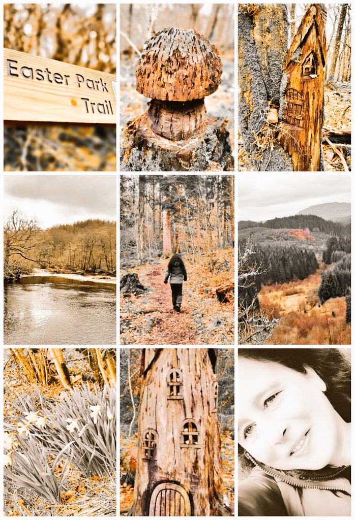 Astrid16318158's tweet photo. #Lemahamish #DoonHill #FairyKnowe #Aberfoyle #photograghy #photo
#EasterParkTrail #landscapephotography https://t.co/MuNMv7pWhF