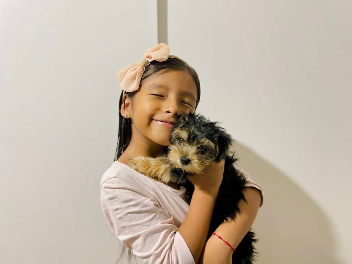 AnGe_DelPzo's tweet photo. Tengo miedo de amarte tanto y luego perderte mi sophie 🐶❤️eres lo mas bonito de mi 2023 Dios te bendiga mi muñequita pequeñita https://t.co/vv2hfs0xVQ