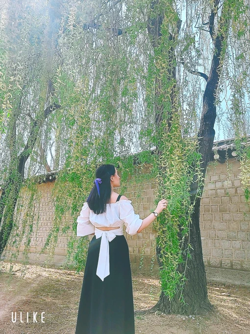 생각했던 것 보다 훨씬 넓어서 다 둘러보진 못했지만 풍경 많이 봐서 만족(한국에서 20년 넘게 살면서 궁 처음 가봄) 