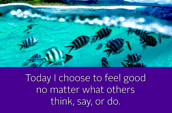 DivineC0nscious's tweet photo. You control your life and happiness. Don't let others take away your control.
#StayPositive #NewYou #NewAttitude #MeFirst #IwantToBeHappy https://t.co/zYor7r8gqT