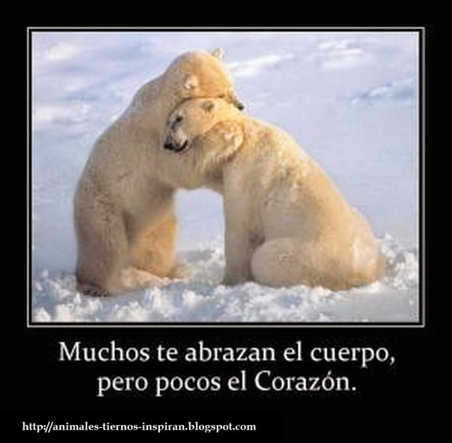 ¡Desesperación Total !
¡Se están muriendo! 
¡Se están extinguiendo!
¡Se mueren de hambre ! 
Piden hambrientos comida a los humanos , comen basura ,devoran a sus crías 
La belleza no puede desaparecer 
Hazlo viral 
#SaveThePolarBear