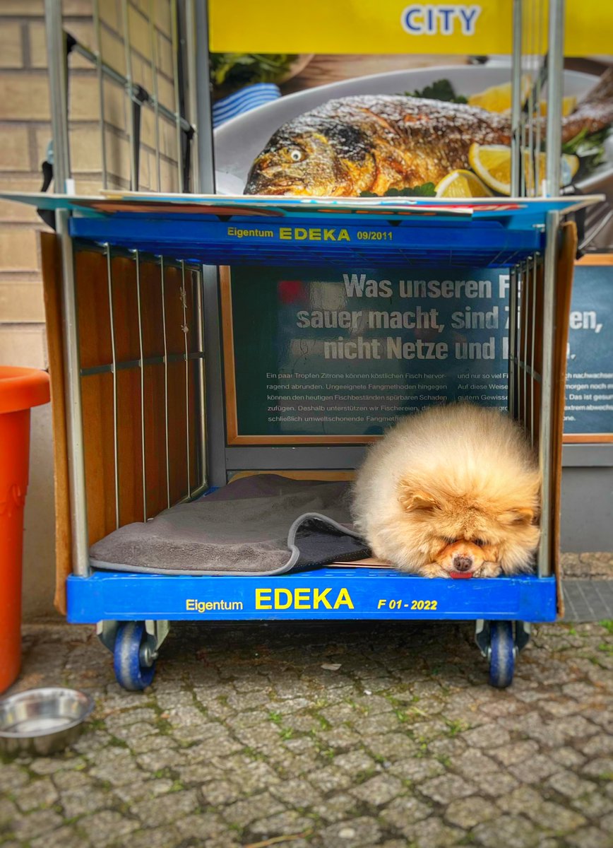 Achtelsekunde's tweet photo. Neulich in #Berlin-Mitte. #Edeka 💛 liebt nicht nur Lebensmittel. 🤷🏻‍♀️🥰 #MitarbeiterDesMonats https://t.co/fa8vKCvZDJ