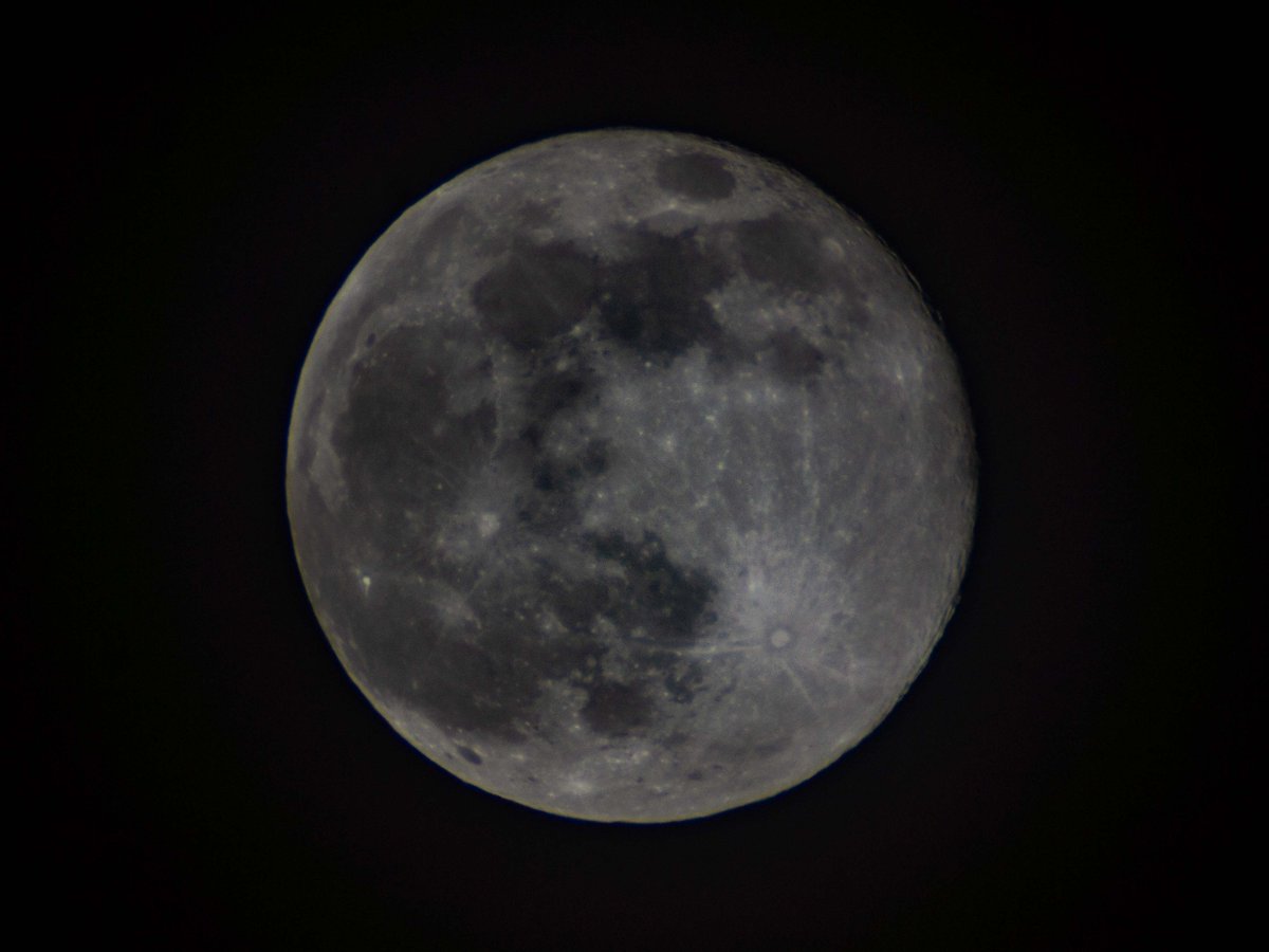 DanThΞMan Photography 📸 tweet media