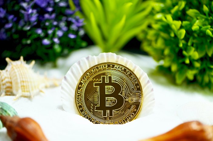 Bitcoin Archive tweet media