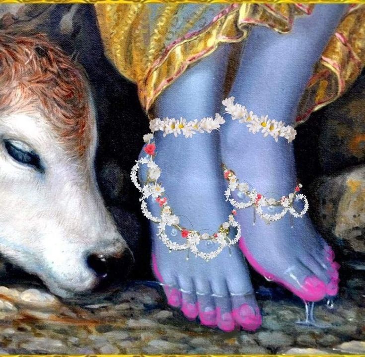 iSupriya9's tweet photo. Never leave his lotus feet 🌸✨ https://t.co/f84zWwBdpl