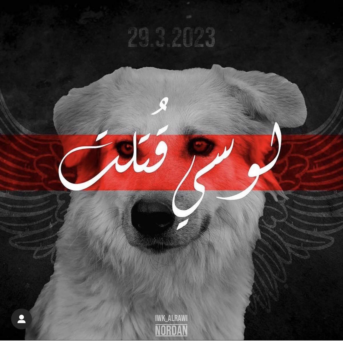 DeltaForceX13's tweet photo. @ShaAlshm1 العمادة دكول مانعرف ؟؟  شون يكتلونها هي وباقي الكلاب ويدخلون بسلاح وبدون علم العمادة ؟ بالاخر الامنيه هم كتلوها بعلم العمادة ومع العلم هي ملقحة ومعقمه ولطيفه والكل يحبها بس للاسف هي هاي  البشريه الي نعيش وياهم كلهم ارهاب 
#لوسي_قضيتنا https://t.co/vuvD0IdWb3