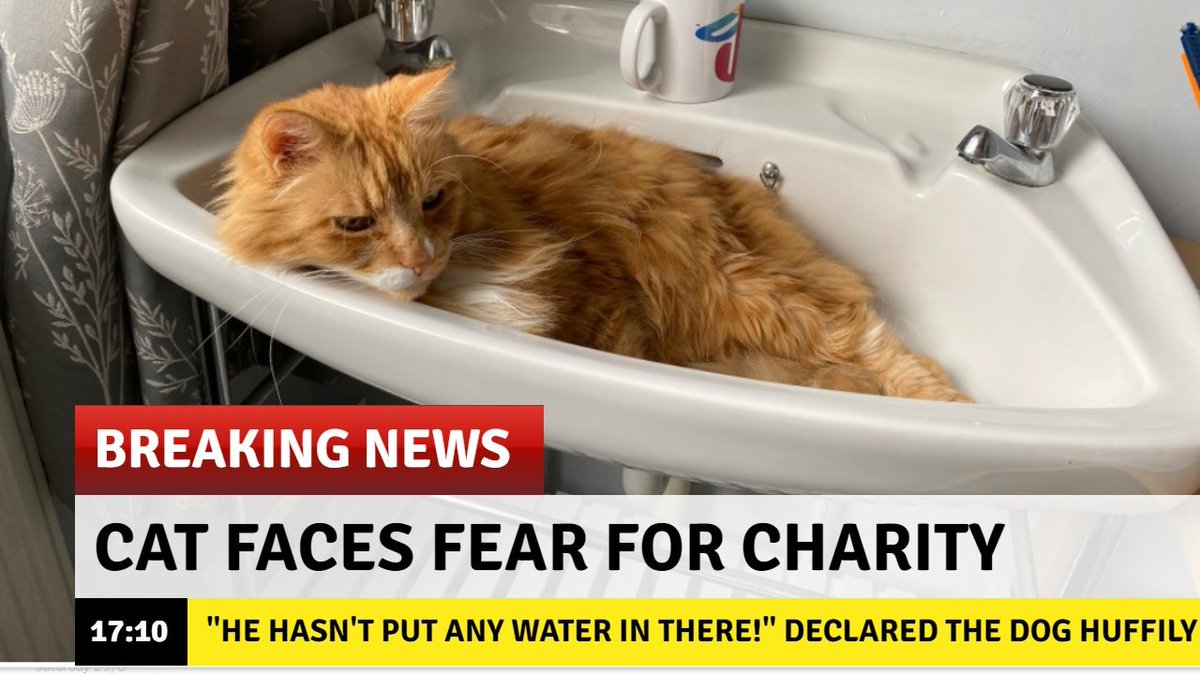 Judy McDowell's Words #MendTheClimate #Ukraine 🐸 tweet media