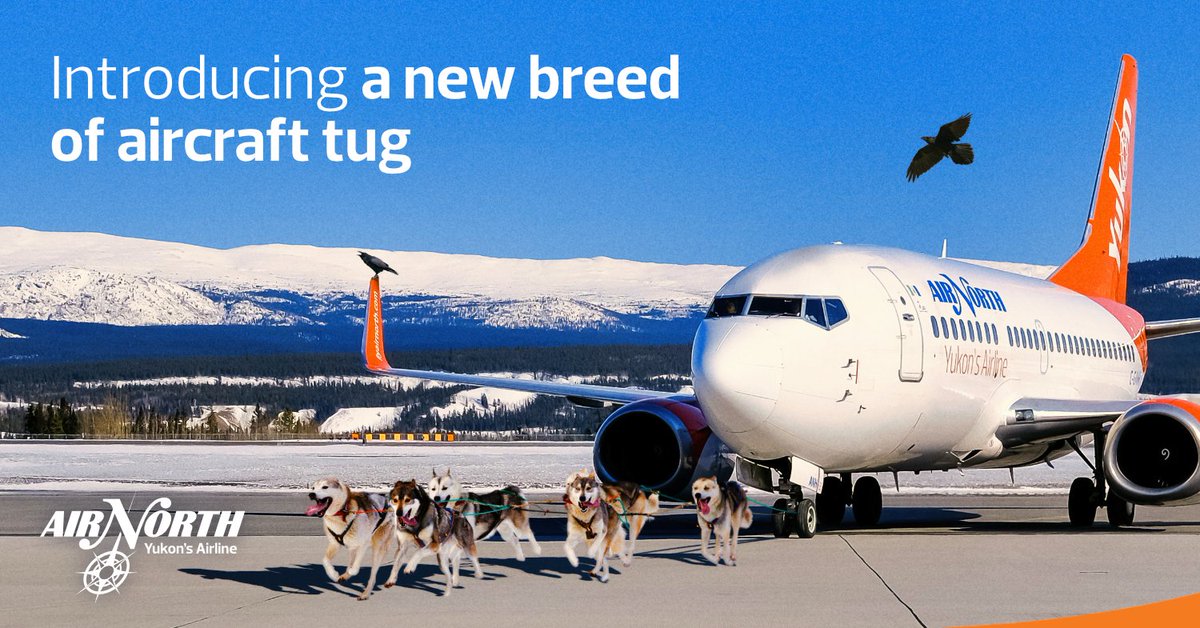 Air North tweet media