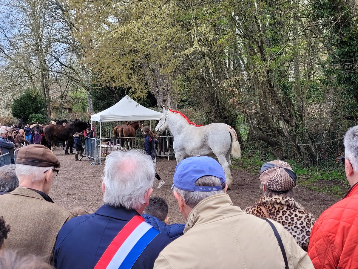 DanielGrenon89's tweet photo. J'étais présent aujourd'hui avec mon collègue @JulienOdoul, les élus et les militants du #RN89 à la Foire du Beau Marché de #Toucy. Quel plaisir de vous retrouver et de participer à cette belle fête poyaudine ancrée dans nos traditions rurales de convivialité et de proximité. https://t.co/sIg6vrmBB4