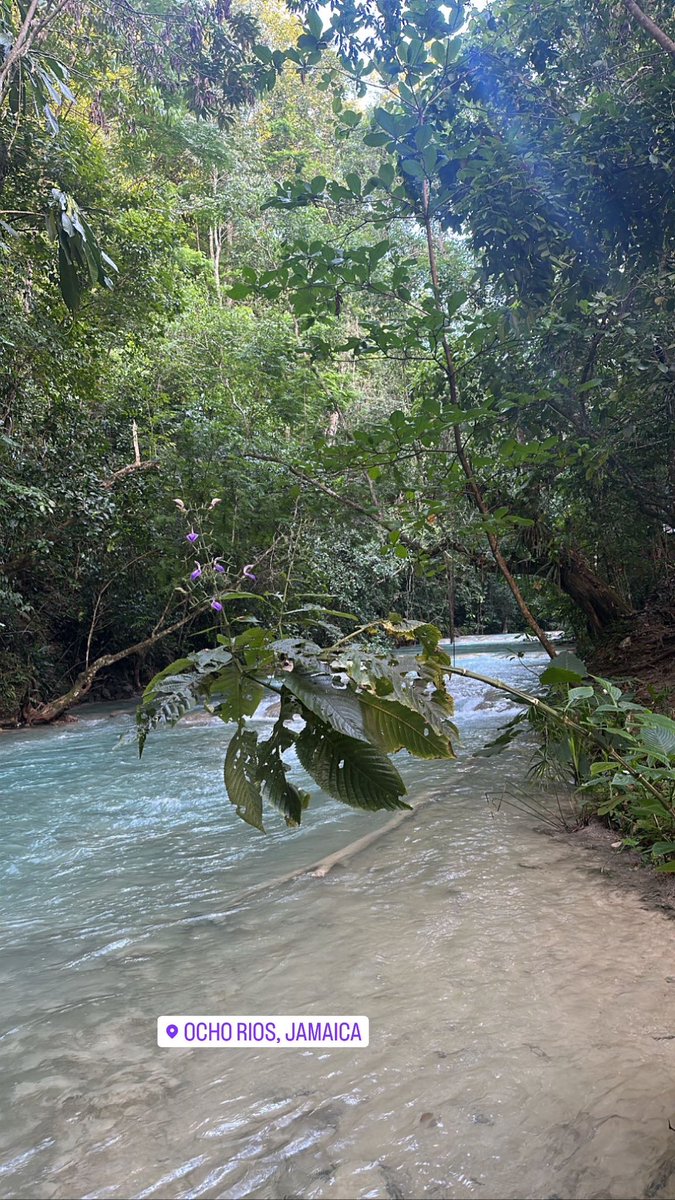 JavaBookings's tweet image. River trip? Gather your friends and come along! 🇯🇲